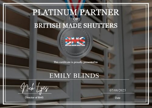 Click Here To Enlarge This Photo Of Platinum Partner Status